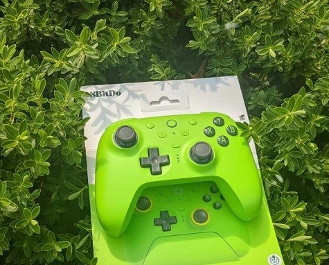 Controle 8BitDo Ultimate 2 Wireless Verde