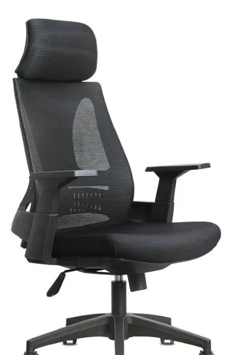Cadeira De Escritório Presidente Nr17 Homenow Ergonômica Preto Assento Em Tela Mesh