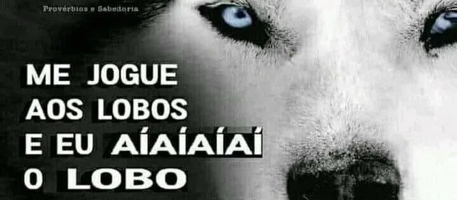 Pasta Termica Snowdog Husky 3g 12.8wmk Alta Performance snow dog térmica